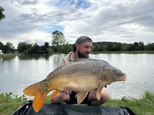 Mirror Carp