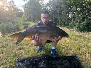 Mirror Carp