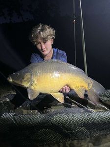 Mirror Carp