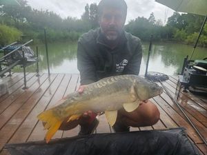 Mirror Carp