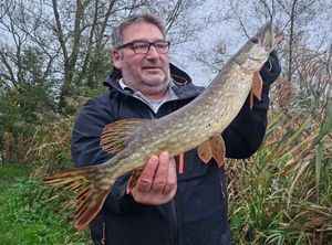 Northern Pike