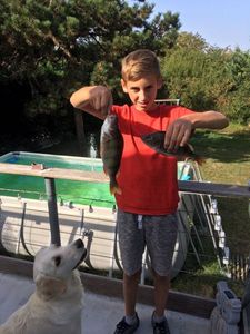 European Perch