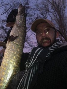 Northern Pike