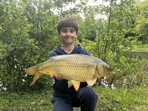 Common Carp