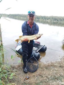 Northern Pike