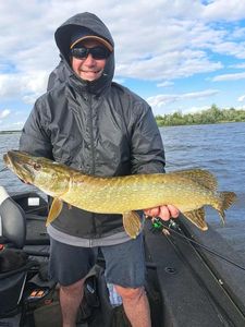 Northern Pike