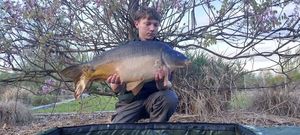 Mirror Carp