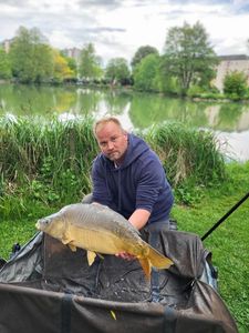 Mirror Carp
