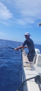 Bluefin Tuna