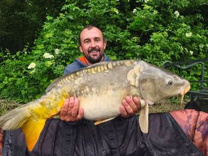 Mirror Carp