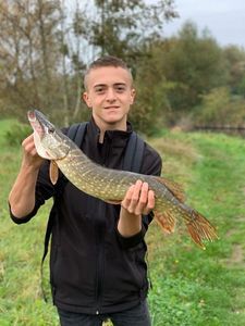 Northern Pike