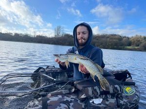 Northern Pike
