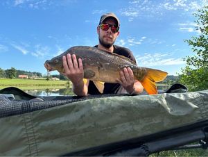Mirror Carp
