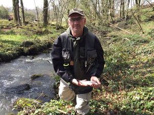Rainbow Trout
