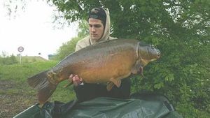 Mirror Carp