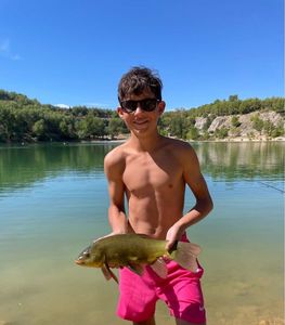 Tench
