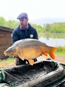 Mirror Carp