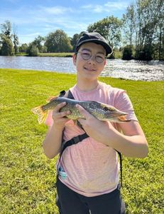 Northern Pike
