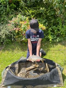 Mirror Carp