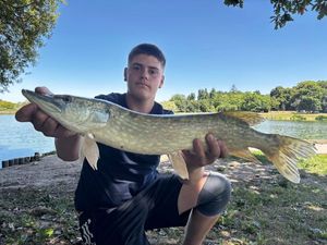 Northern Pike