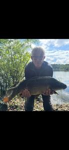 Mirror Carp