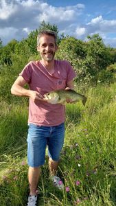 Largemouth Bass