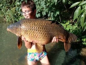 Common Carp