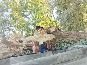 Grass Carp