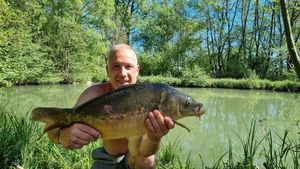 Mirror Carp