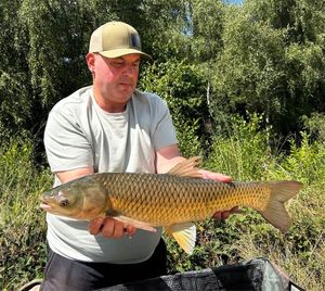 Grass Carp