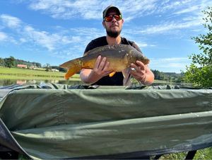 Mirror Carp
