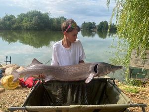 Photo de prise