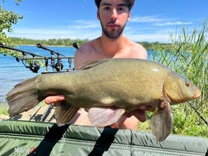Tench
