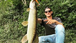 Northern Pike