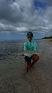 Bonefish