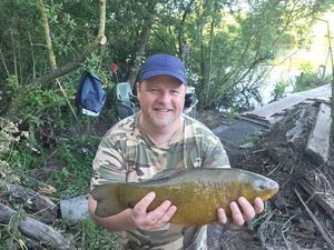 Tench