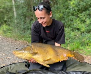 Mirror Carp
