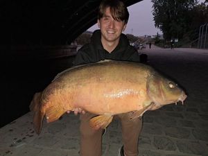 Mirror Carp