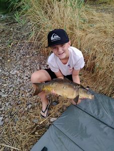 Mirror Carp