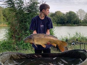Common Carp