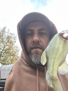Largemouth Bass