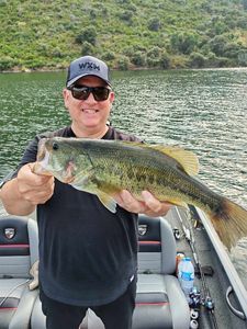 Largemouth Bass