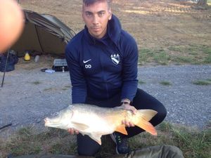 Mirror Carp