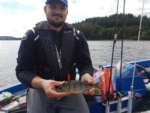 European Perch