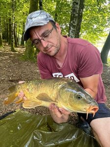 Mirror Carp