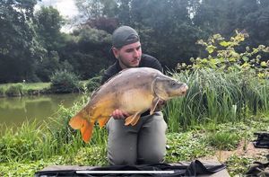 Mirror Carp