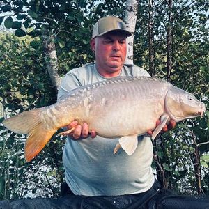 Mirror Carp
