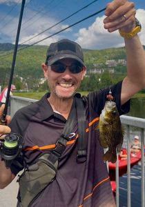 Rock Bass