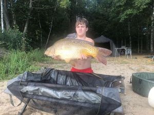 Common Carp