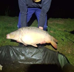 Leather Carp